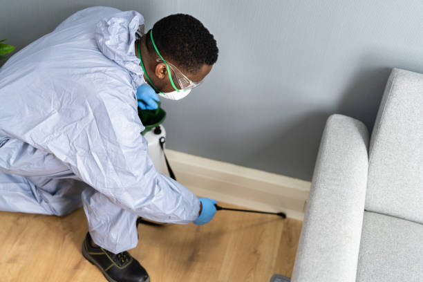 Best Bed Bug Extermination  in Troup, TX